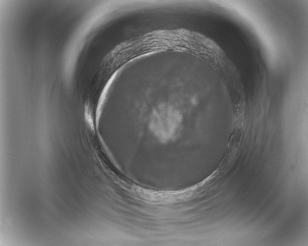 X0000055980047200509162237