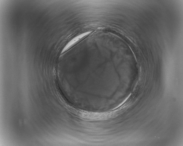 X0000055980048200509162237