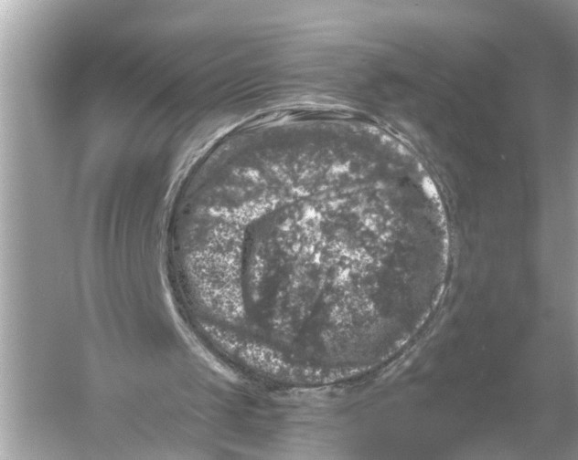 X0000055980049200509162236