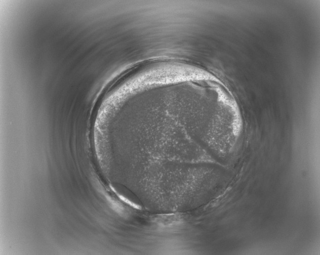 X0000055980050200509162236