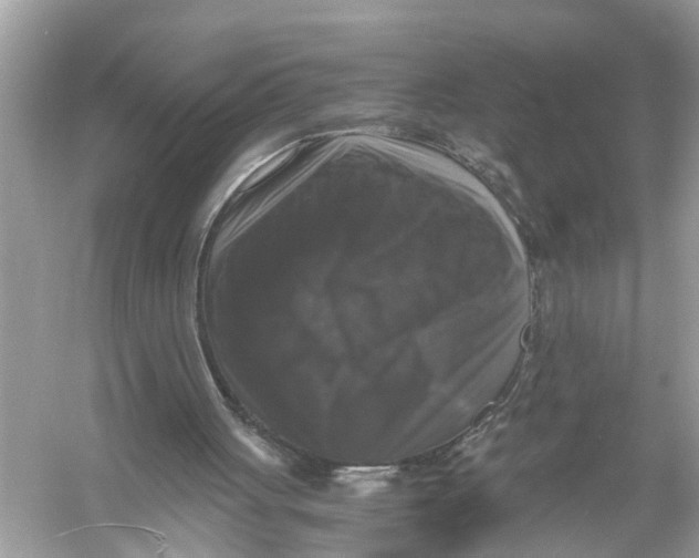 X0000055980051200509162236