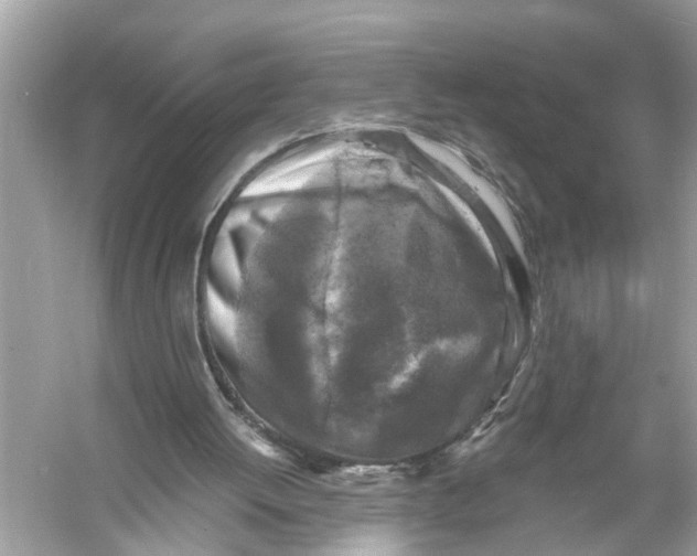 X0000055980052200509162236