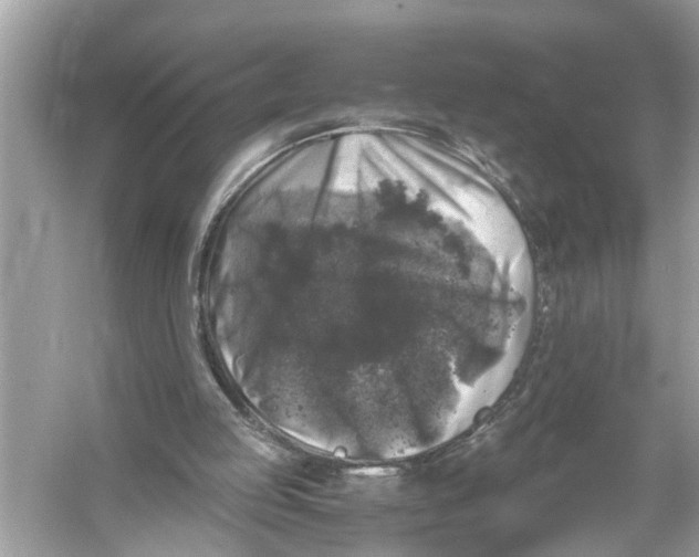 X0000055980053200509162236