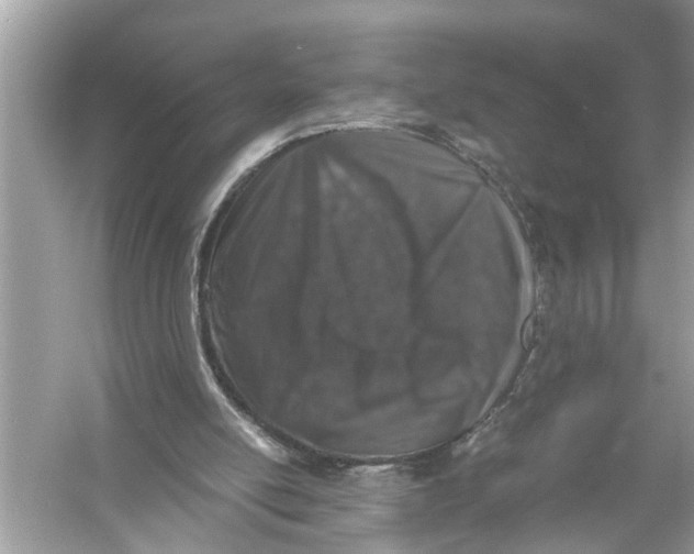 X0000055980054200509162236