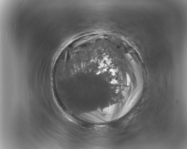 X0000055980055200509162236