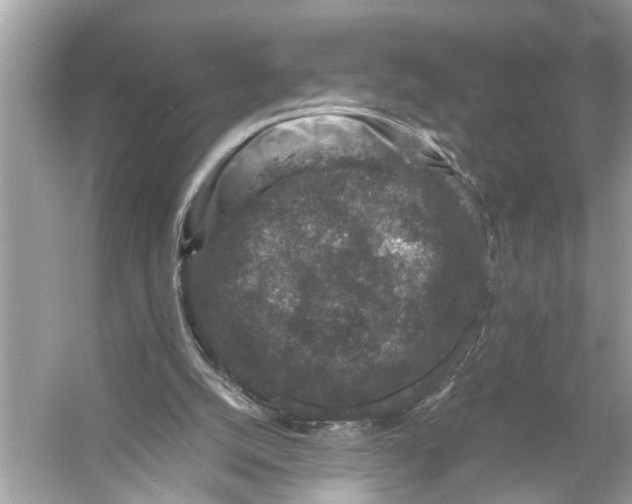 X0000055980056200509162236