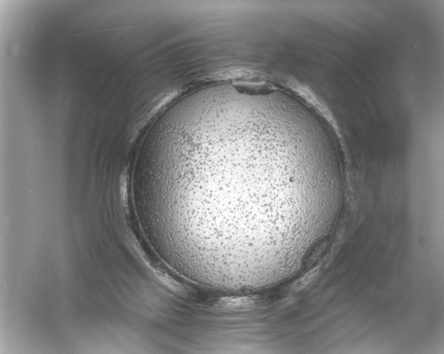 X0000055980057200509162236