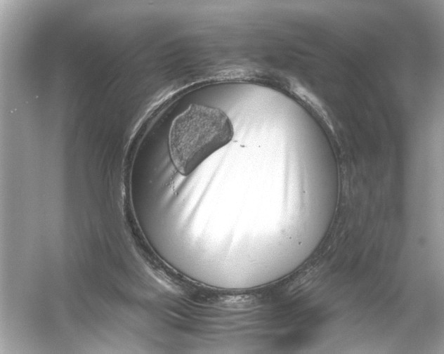 X0000055980059200509162236