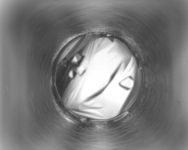 X0000055980060200509162236