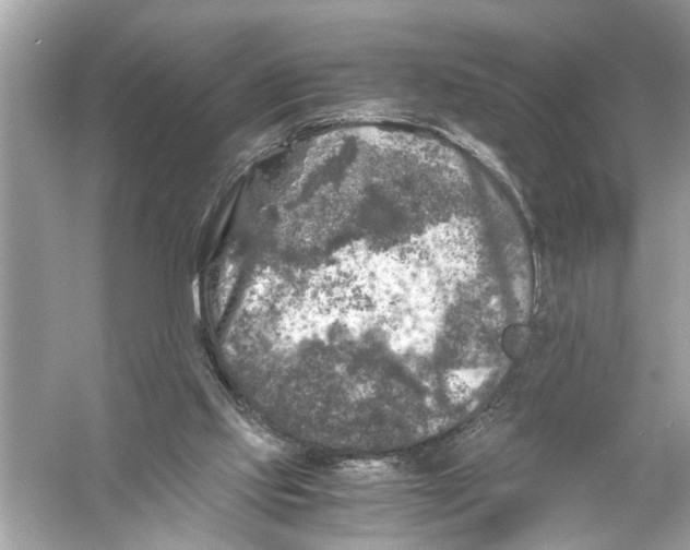 X0000055980061200509162236