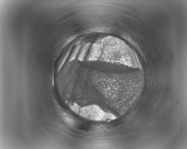 X0000055980062200509162236