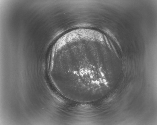 X0000055980063200509162236