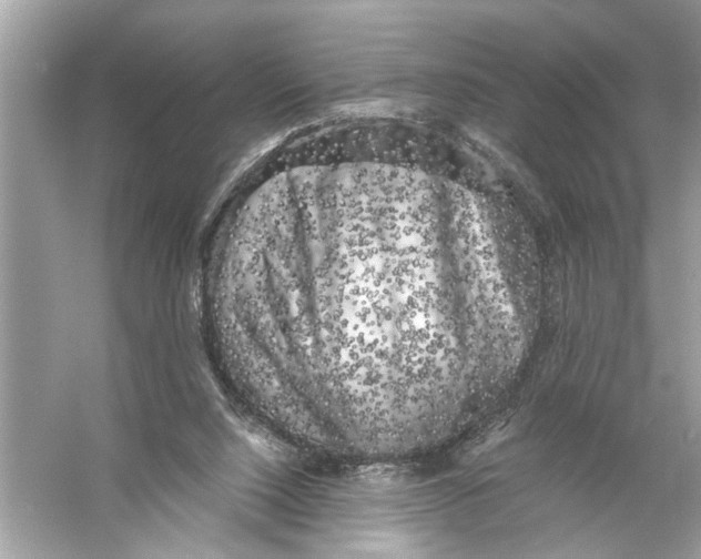 X0000055980064200509162236