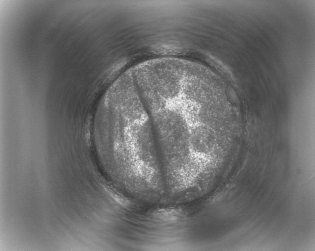 X0000055980065200509162236