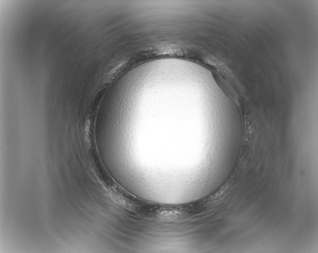 X0000055980066200509162236