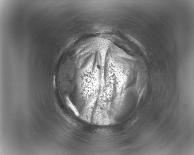 X0000055980067200509162236