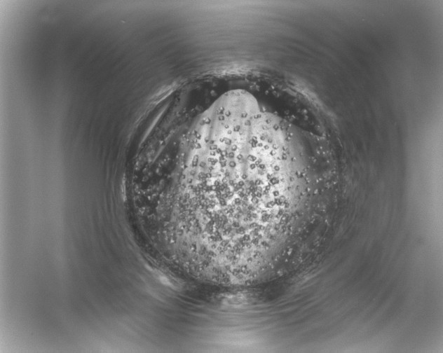 X0000055980068200509162236