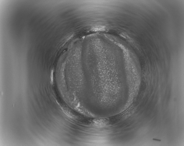 X0000055980070200509162236