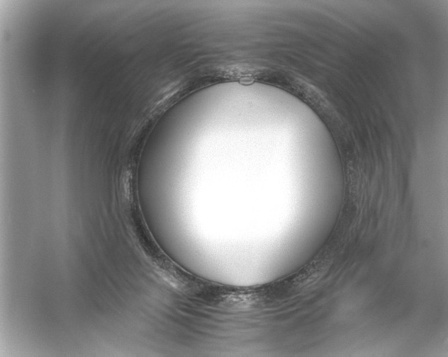 X0000055980071200509162236