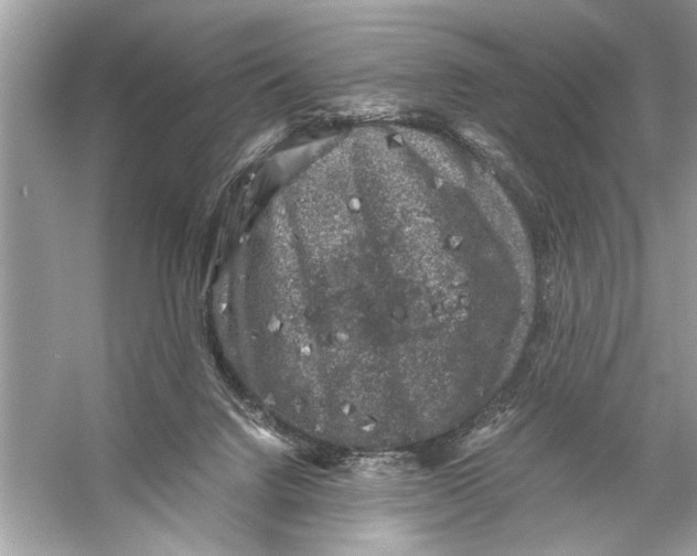 X0000055980072200509162236