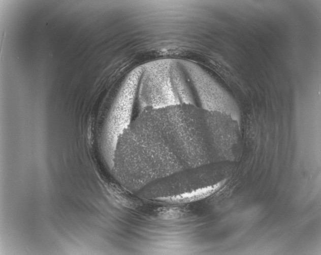 X0000055980074200509162236