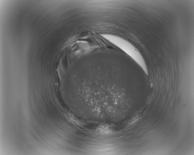 X0000055980076200509162236