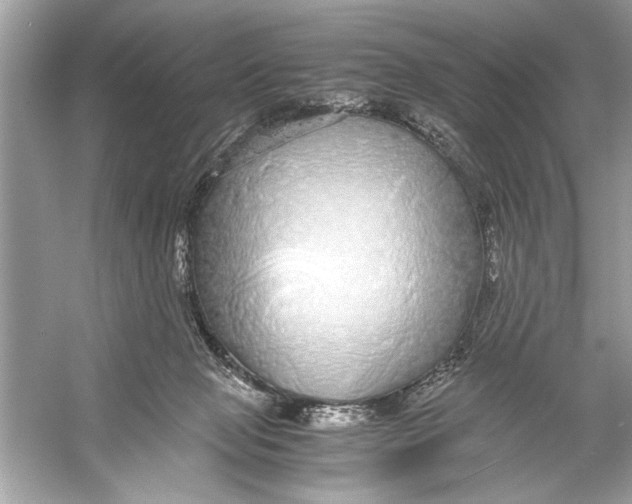 X0000055980077200509162236