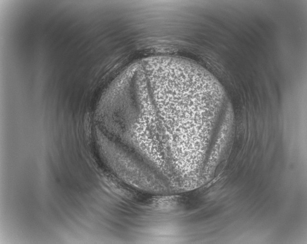 X0000055980078200509162236