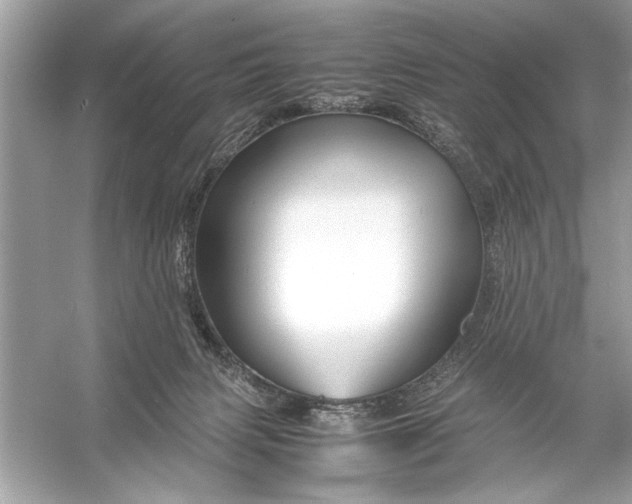 X0000055980079200509162236