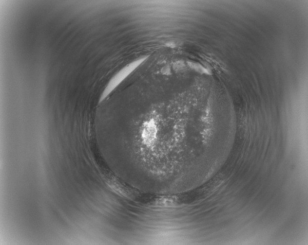 X0000055980080200509162236