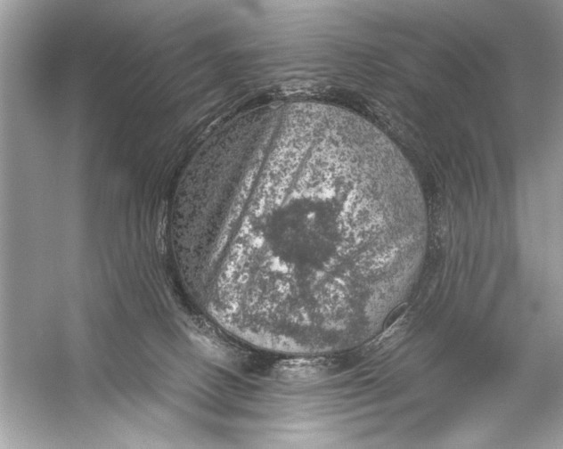 X0000055980082200509162236