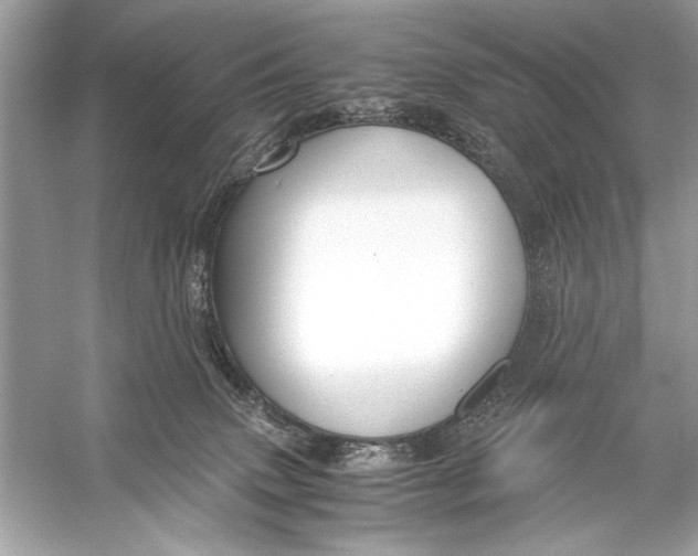 X0000055980083200509162236