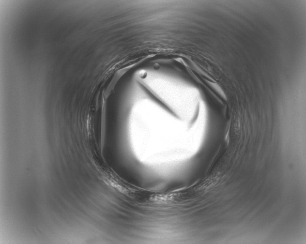 X0000055980084200509162236