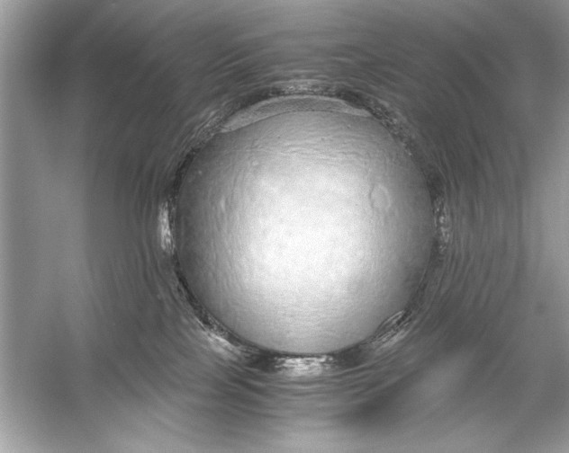 X0000055980089200509162236