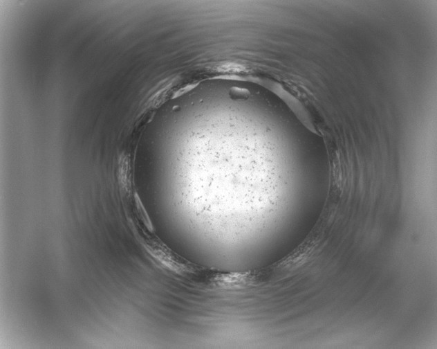 X0000055980092200509162237