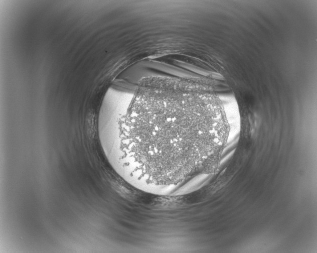 X0000055980093200509162237