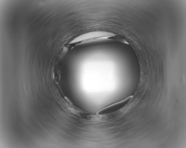 X0000055980096200509162237