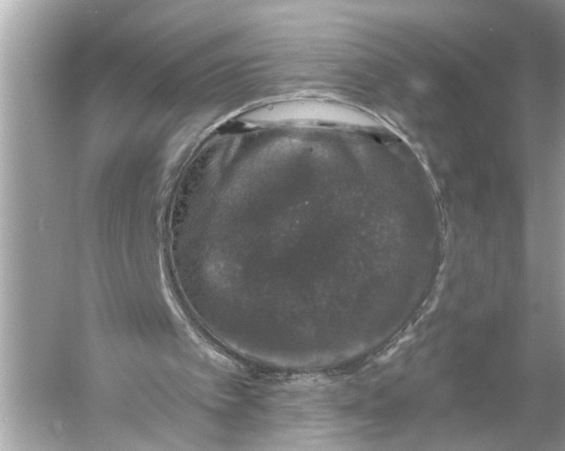 X0000055980097200509162236