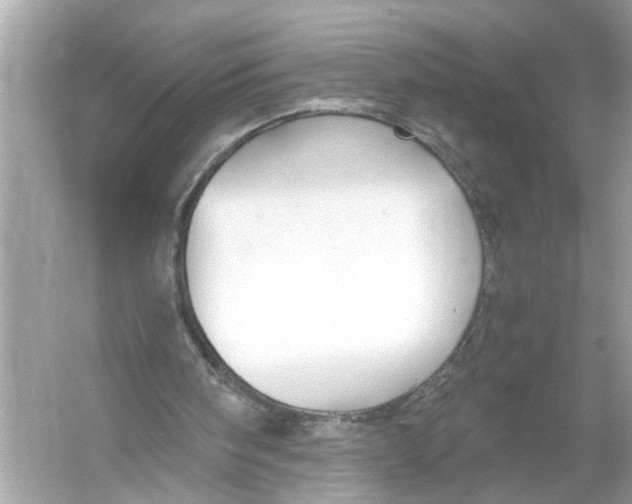 X0000055980098200509162236