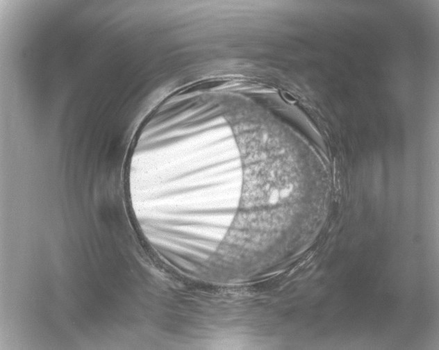 X0000055980099200509162236