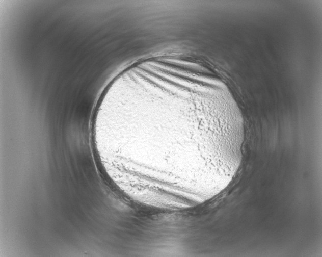 X0000055980100200509162236