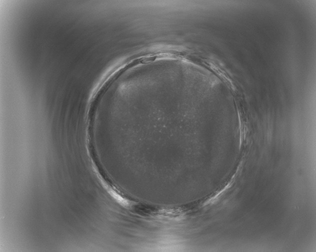 X0000055980101200509162236