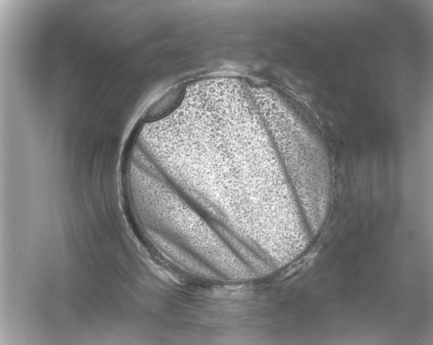 X0000055980102200509162236