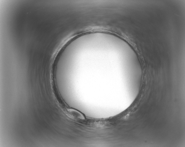 X0000055980103200509162236