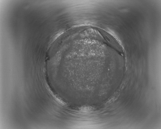 X0000055980105200509162236