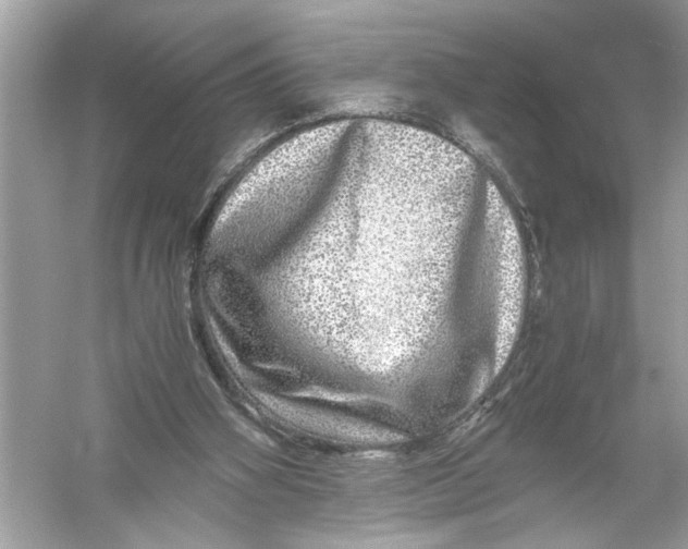 X0000055980106200509162236