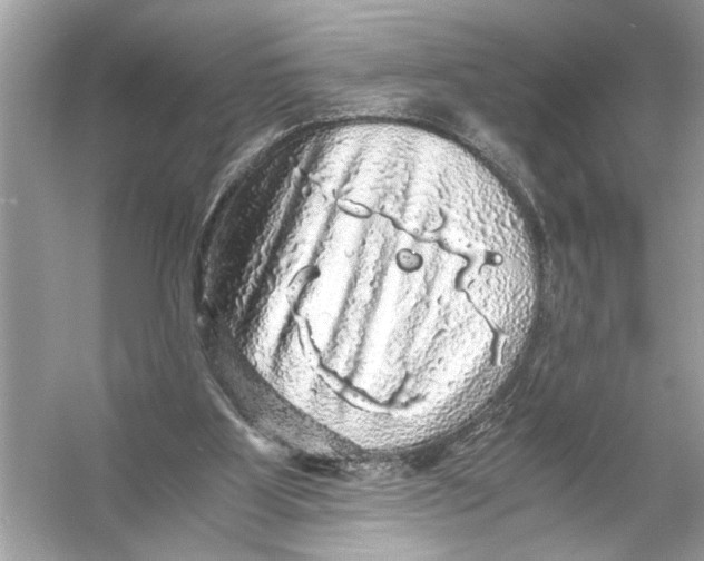 X0000055980107200509162236