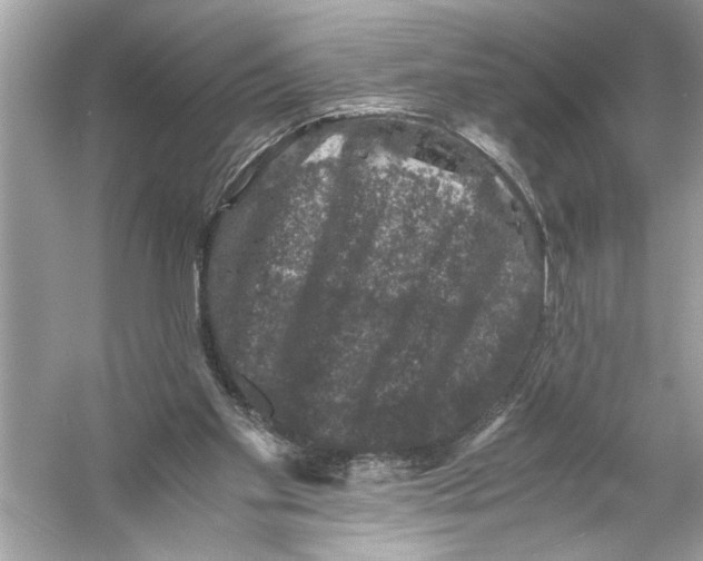 X0000055980109200509162236