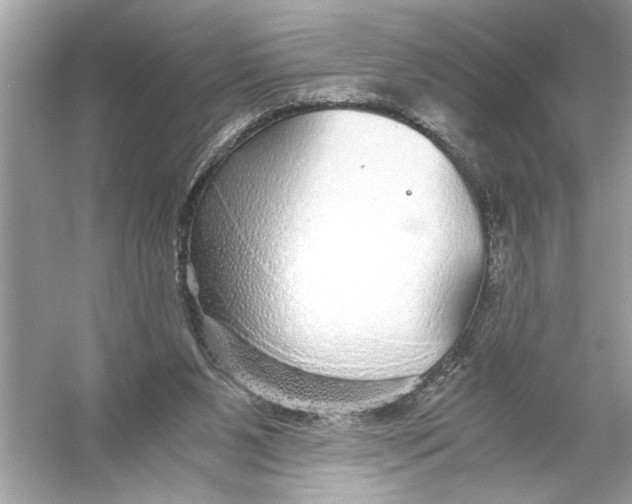 X0000055980111200509162236