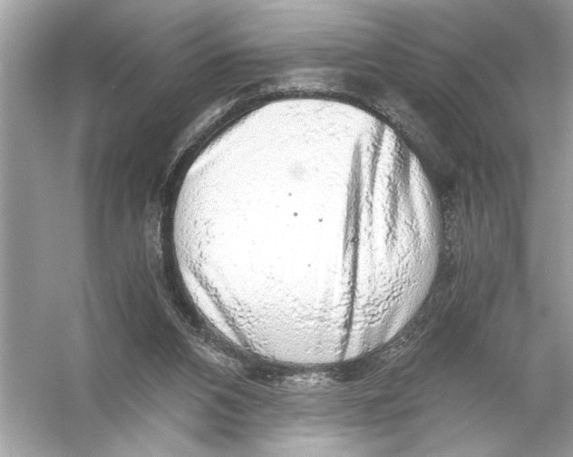 X0000055980112200509162236